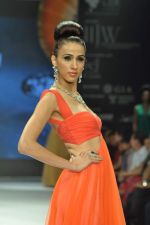 Model walks the ramp for Dynamic International Show at IIJW Day 1 on 19th Aug 2012  (5).JPG