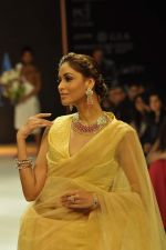 Model walks the ramp for Gehna Jewellers Show at IIJW Day 1 on 19th Aug 2012  (42).JPG