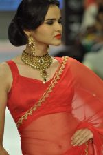 Model walks the ramp for Laxmi Jewellery Export vt Ltd Show at IIJW Day 1 on 19th Aug 2012  (62).JPG