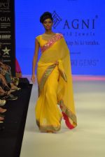 Model walks the ramp for Agni Jewels Show at IIJW Day 2 on 20th Aug 2012 (19).JPG