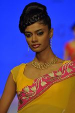 Model walks the ramp for Agni Jewels Show at IIJW Day 2 on 20th Aug 2012 (22).JPG