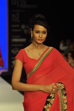 Model walks the ramp for Agni Jewels Show at IIJW Day 2 on 20th Aug 2012 (24).JPG