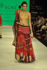 Model walks the ramp for Agni Jewels Show at IIJW Day 2 on 20th Aug 2012 (38).JPG