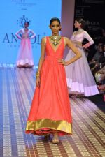 Model walks the ramp for Anmol Jewels Show at IIJW Day 2 on 20th Aug 2012 (54).JPG