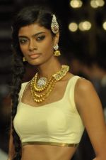Model walks the ramp for Dipti Amisha Jewels Show at IIJW Day 2 on 20th Aug 2012 (13).JPG