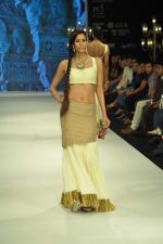 Model walks the ramp for Dipti Amisha Jewels Show at IIJW Day 2 on 20th Aug 2012 (29).JPG