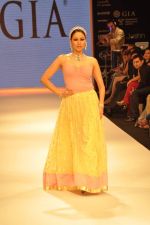 Model walks the ramp for Gia Jewels Show at IIJW Day 2 on 20th Aug 2012 (2).JPG