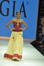 Model walks the ramp for Gia Jewels Show at IIJW Day 2 on 20th Aug 2012 (56).JPG