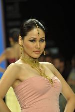 Model walks the ramp for Gia Jewels Show at IIJW Day 2 on 20th Aug 2012 (60).JPG