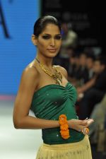 Model walks the ramp for Gia Jewels Show at IIJW Day 2 on 20th Aug 2012 (70).JPG
