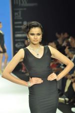 Model walks the ramp for Jaipur Jewels Show at IIJW Day 2 on 20th Aug 2012 (12).JPG