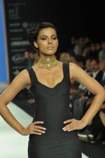 Model walks the ramp for Jaipur Jewels Show at IIJW Day 2 on 20th Aug 2012 (17).JPG