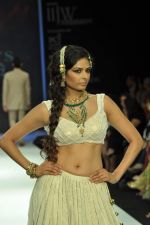 Model walks the ramp for Vijay Golecha Jewels Show at IIJW Day 2 on 20th Aug 2012 (35).JPG