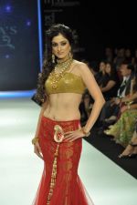 Model walks the ramp for Vijay Golecha Jewels Show at IIJW Day 2 on 20th Aug 2012 (39).JPG