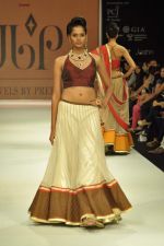 Model walks the ramp for preeti Jewels Show at IIJW Day 2 on 20th Aug 2012 (42).JPG