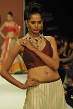Model walks the ramp for preeti Jewels Show at IIJW Day 2 on 20th Aug 2012 (43).JPG