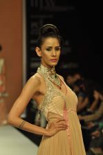 Model walks the ramp for preeti Jewels Show at IIJW Day 2 on 20th Aug 2012 (49).JPG