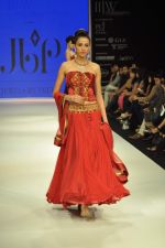 Model walks the ramp for preeti Jewels Show at IIJW Day 2 on 20th Aug 2012 (64).JPG