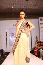 Model walks the ramp for AD SINGH Show at  hyderabad india fashion street on 21st Aug 2012 (2).jpeg