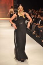 Model walks the ramp for Anand Shah Show at IIJW Day 3 on 21st Aug 2012 (16).JPG
