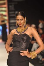 Model walks the ramp for Anand Shah Show at IIJW Day 3 on 21st Aug 2012 (26).JPG