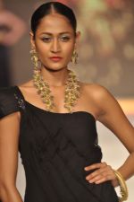 Model walks the ramp for Anand Shah Show at IIJW Day 3 on 21st Aug 2012 (28).JPG