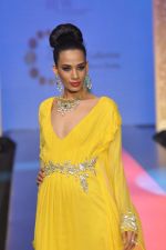 Model walks the ramp for Cappuccino Collection Show at IIJW Day 3 on 21st Aug 2012 (98).JPG