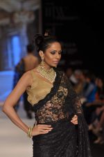 Model walks the ramp for Kays Jewel Show at IIJW Day 3 on 21st Aug 2012 (24).JPG