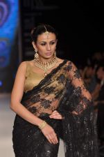 Model walks the ramp for Kays Jewel Show at IIJW Day 3 on 21st Aug 2012 (29).JPG