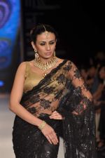 Model walks the ramp for Kays Jewel Show at IIJW Day 3 on 21st Aug 2012 (31).JPG