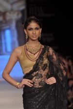 Model walks the ramp for Kays Jewel Show at IIJW Day 3 on 21st Aug 2012 (34).JPG