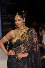 Model walks the ramp for Kays Jewel Show at IIJW Day 3 on 21st Aug 2012 (38).JPG