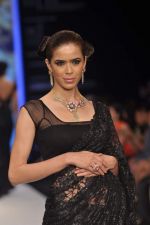 Model walks the ramp for Kays Jewel Show at IIJW Day 3 on 21st Aug 2012 (51).JPG