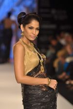 Model walks the ramp for Kays Jewel Show at IIJW Day 3 on 21st Aug 2012 (9).JPG