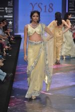 Model walks the ramp for YS 18 Show at IIJW Day 3 on 21st Aug 2012 (120).JPG