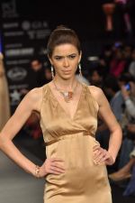 Model walks the ramp for Jewels Emporium Show at IIJW Day 4 on 22nd Aug 2012 (53).JPG