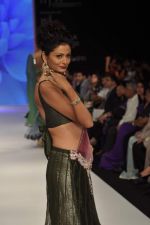 Model walks the ramp for Kashi Jeweller Show at IIJW Day 4 on 22nd Aug 2012 (230).JPG