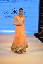 Model walks the ramp for Kriplani & Sons Show at IIJW Day 4 on 22nd Aug 2012 (71).JPG