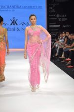 Model walks the ramp for Kriplani & Sons Show at IIJW Day 4 on 22nd Aug 2012 (91).JPG