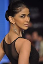 Model walks the ramp for Manish Khatter Show at IIJW Day 4 on 22nd Aug 2012 (17).JPG
