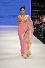 Model walks the ramp for Raksha Show at IIJW Day 4 on 22nd Aug 2012 (7).JPG