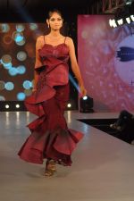 Model walks the ramp for HVJ show on 24th Aug 2012 (162).JPG