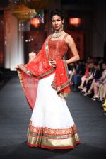 Model walk the ramp for Jyotsna Tiwari show at Aamby Valley India Bridal Fashion Week 2012 Day 2 in Mumbai on 13th Sept 2012 (123).JPG