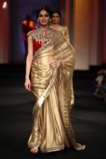 Model walk the ramp for Ashima leena show at Aamby Valley India Bridal Fashion Week 2012 in Mumbai on 14th Sept 2012 (247).JPG