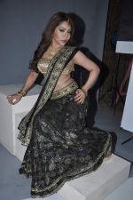 Laila Khan_s dandia photo shoot on 27th Sept 2012  35 (16).JPG