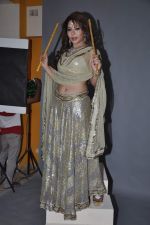 Laila Khan_s dandia photo shoot on 27th Sept 2012  35 (30).JPG