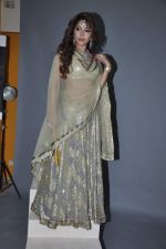 Laila Khan_s dandia photo shoot on 27th Sept 2012  35 (32).JPG