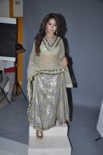 Laila Khan_s dandia photo shoot on 27th Sept 2012  35 (34).JPG