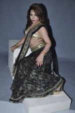 Laila Khan_s dandia photo shoot on 27th Sept 2012  35 (4).JPG