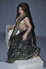 Laila Khan_s dandia photo shoot on 27th Sept 2012  35 (5).JPG